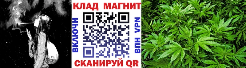 НБОМе Бикин