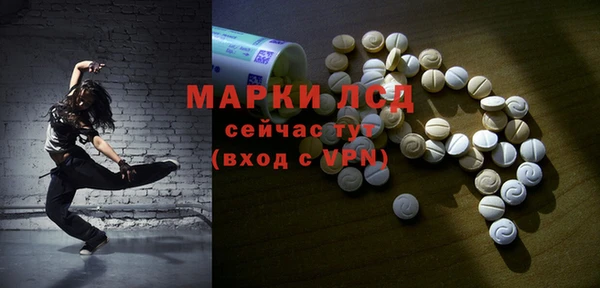 СК Аркадак